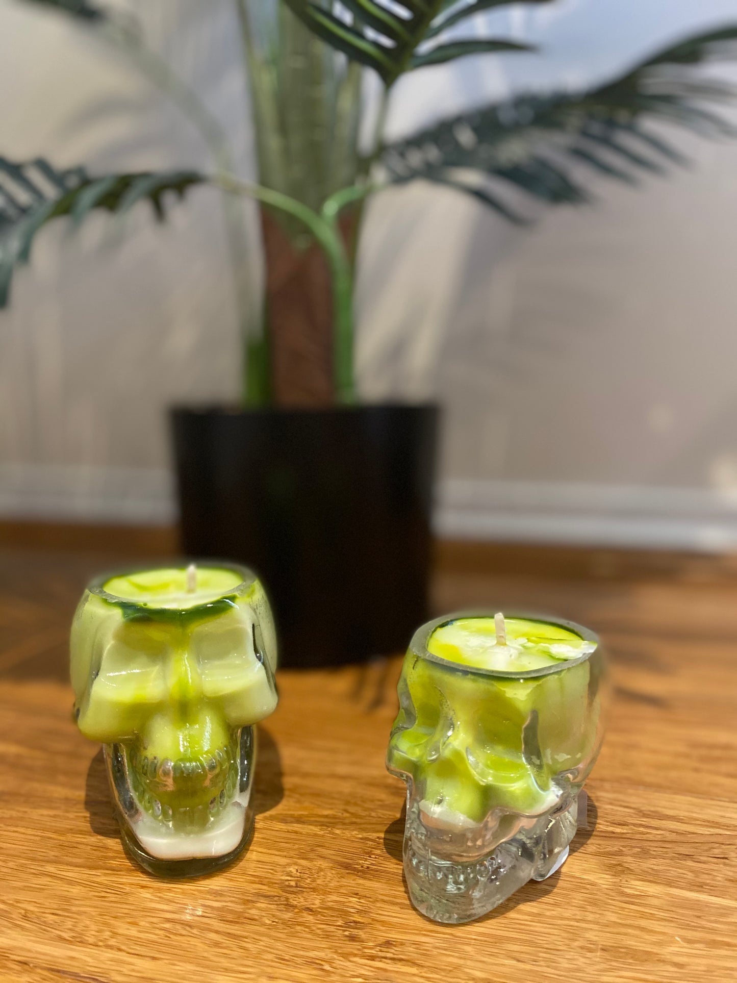 Soy Candle - Limited Edition Skull in Coconut Lime Punch fragrance large -CLEARANCE WAS $10 NOW $8