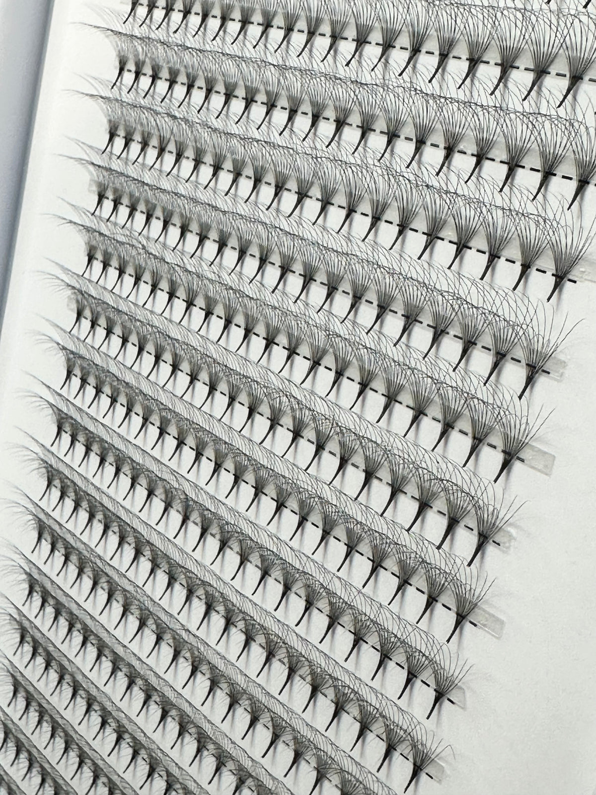 8D Pro-Point Double Layer Lash Fans